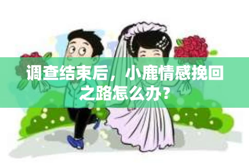 调查结束后，小鹿情感挽回之路怎么办？