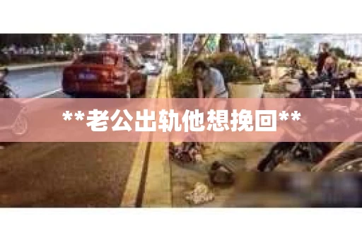 **老公出轨他想挽回**