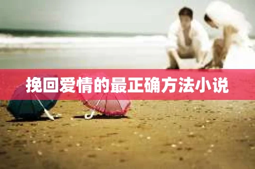 挽回爱情的最正确方法小说