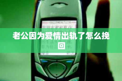 老公因为爱情出轨了怎么挽回