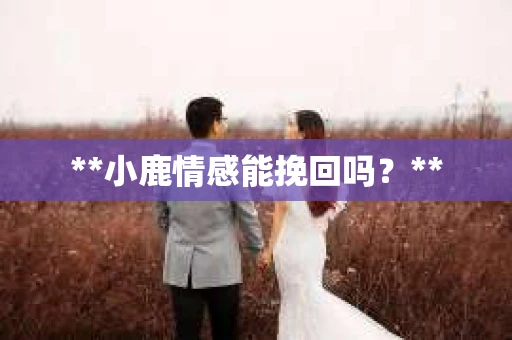 **小鹿情感能挽回吗？**