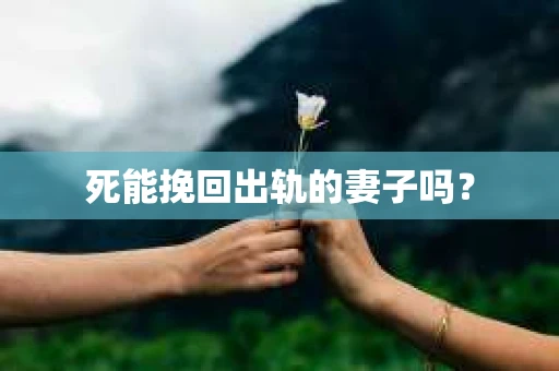 死能挽回出轨的妻子吗？