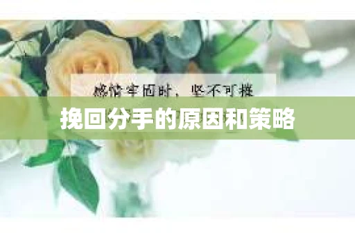 挽回分手的原因和策略