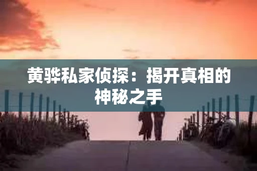 黄骅私家侦探：揭开真相的神秘之手