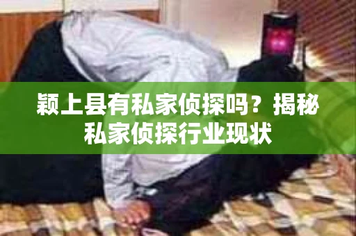 颖上县有私家侦探吗？揭秘私家侦探行业现状