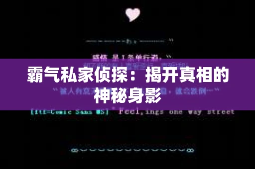 霸气私家侦探：揭开真相的神秘身影