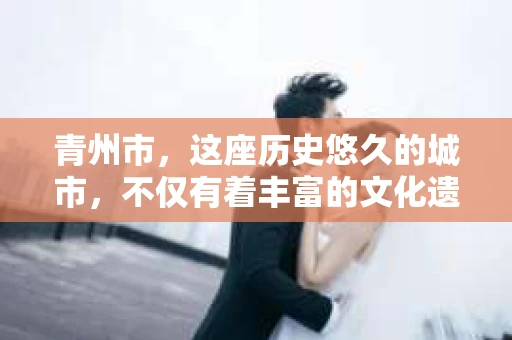 青州市，这座历史悠久的城市，不仅有着丰富的文化遗产，也有着现代生活的便捷。那么，问题来了——青州市有私家侦探公司吗？这个问题，对于需要侦探服务的人来说，无疑至关重要。接下来，我就来为大家揭开这个谜底。