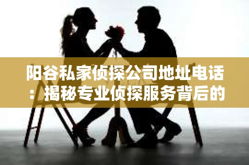 阳谷私家侦探公司地址电话：揭秘专业侦探服务背后的故事
