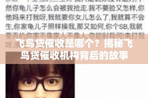 飞鸟贷催收是哪个？揭秘飞鸟贷催收机构背后的故事