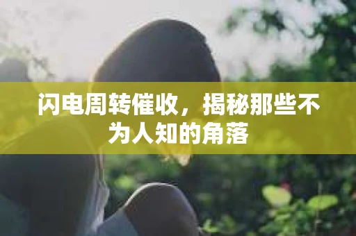 闪电周转催收，揭秘那些不为人知的角落