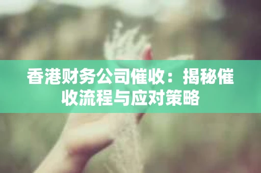 香港财务公司催收：揭秘催收流程与应对策略