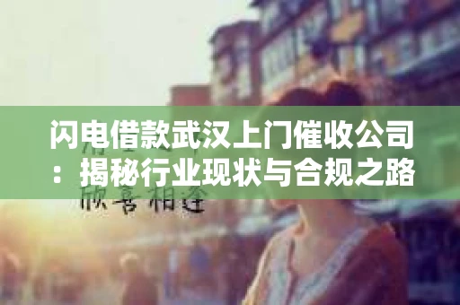 闪电借款武汉上门催收公司：揭秘行业现状与合规之路