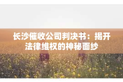 长沙催收公司判决书：揭开法律维权的神秘面纱