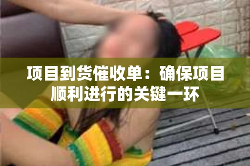 项目到货催收单：确保项目顺利进行的关键一环