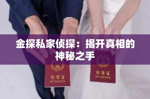 金探私家侦探：揭开真相的神秘之手