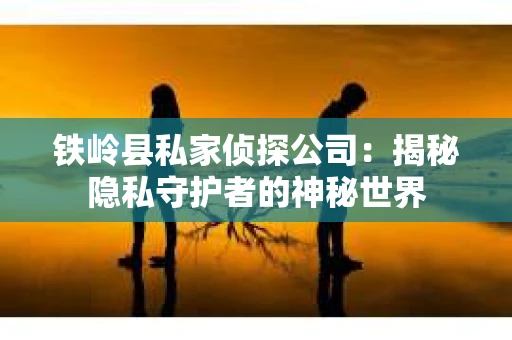 铁岭县私家侦探公司：揭秘隐私守护者的神秘世界