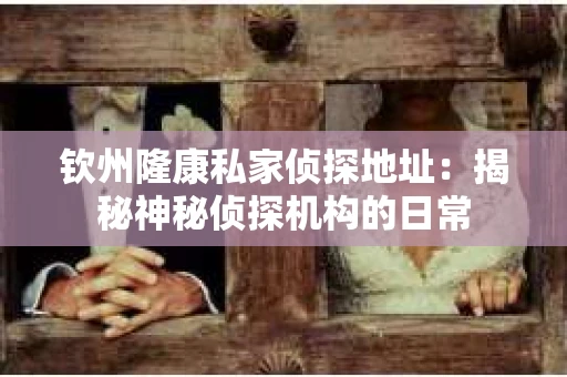 钦州隆康私家侦探地址：揭秘神秘侦探机构的日常