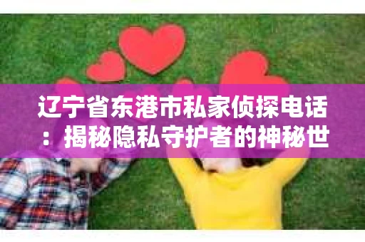 辽宁省东港市私家侦探电话：揭秘隐私守护者的神秘世界