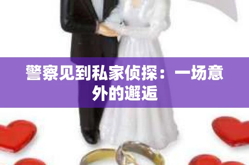 警察见到私家侦探：一场意外的邂逅