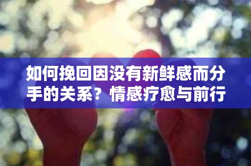 如何挽回因没有新鲜感而分手的关系？情感疗愈与前行计划