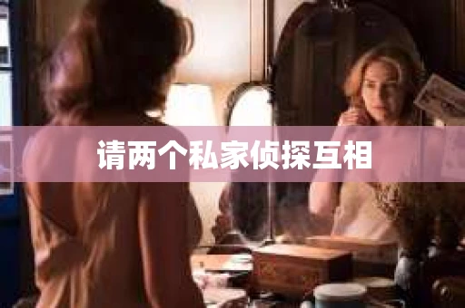 请两个私家侦探互相