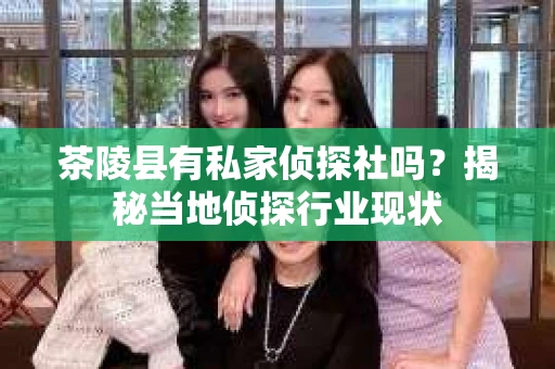 茶陵县有私家侦探社吗？揭秘当地侦探行业现状