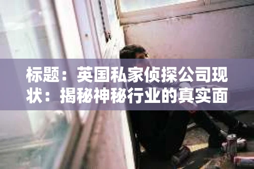 标题：英国私家侦探公司现状：揭秘神秘行业的真实面貌