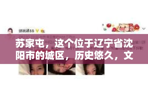 苏家屯，这个位于辽宁省沈阳市的城区，历史悠久，文化底蕴深厚。近年来，随着社会的发展，人们对于私家侦探的需求也逐渐增加。那么，苏家屯有私家侦探吗？今天，我们就来聊聊这个话题。