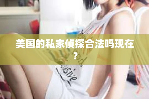 美国的私家侦探合法吗现在？