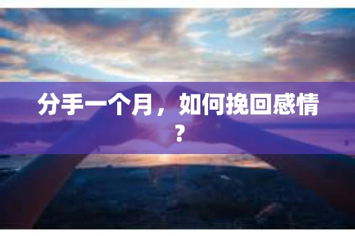 分手一个月,如何挽回感情? 分手一个月,如何挽回感情?