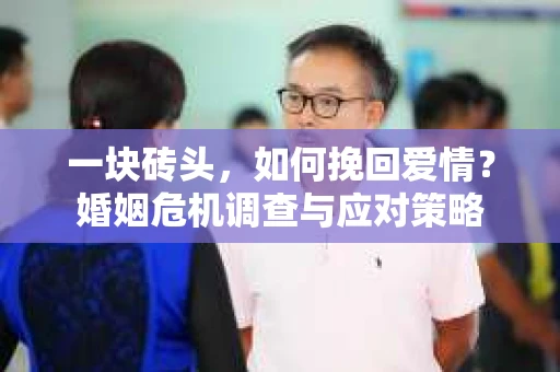 一块砖头，如何挽回爱情？婚姻危机调查与应对策略