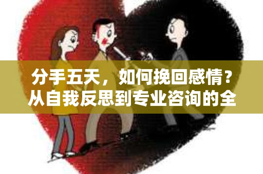 分手五天，如何挽回感情？从自我反思到专业咨询的全面解决方案