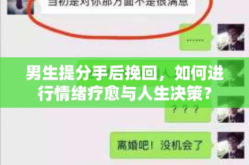 男生提分手后挽回，如何进行情绪疗愈与人生决策？