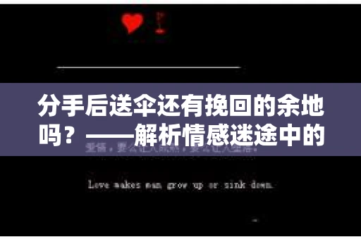 分手后送伞还有挽回的余地吗？——解析情感迷途中的决策