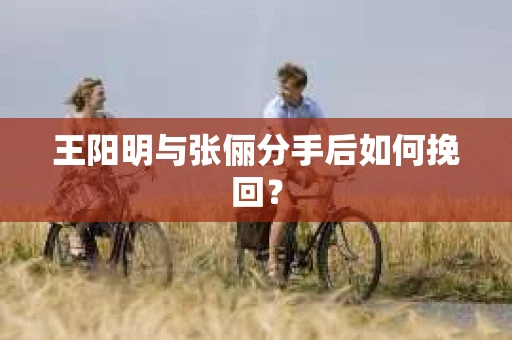 王阳明与张俪分手后如何挽回？
